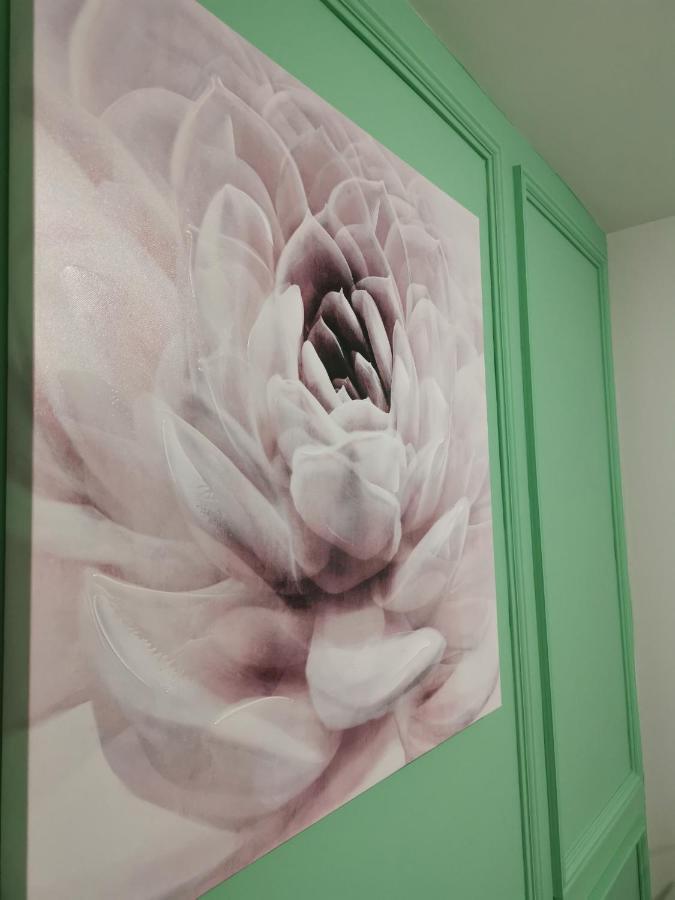 Mateja Apartment نوفي ساد المظهر الخارجي الصورة