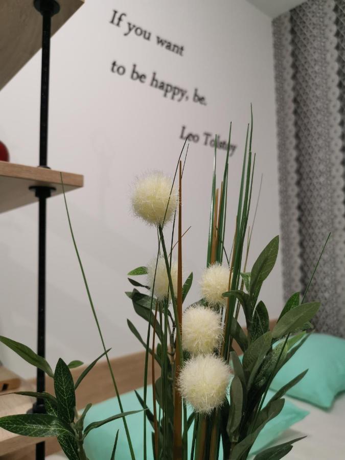 Mateja Apartment نوفي ساد المظهر الخارجي الصورة
